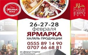 imgonline-com-ua-Resize-vcJ24kOXbQMaSw