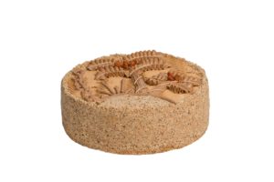 sahara-min